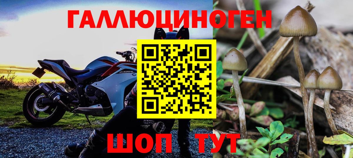 Галлюциногенные грибы Magic Shrooms Комсомольск-на-Амуре