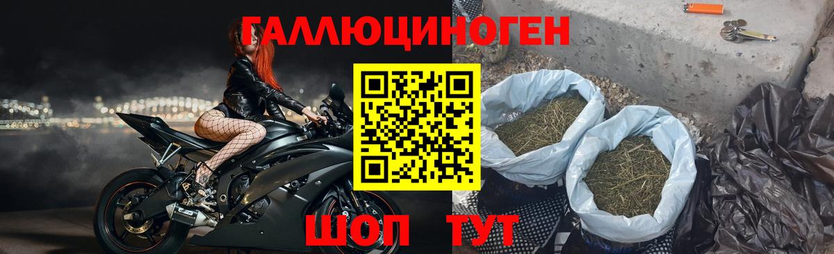 Псилоцибиновые грибы GOLDEN TEACHER  Псилоцибиновые грибы прущие грибы  Комсомольск-на-Амуре  Вход с VPN 